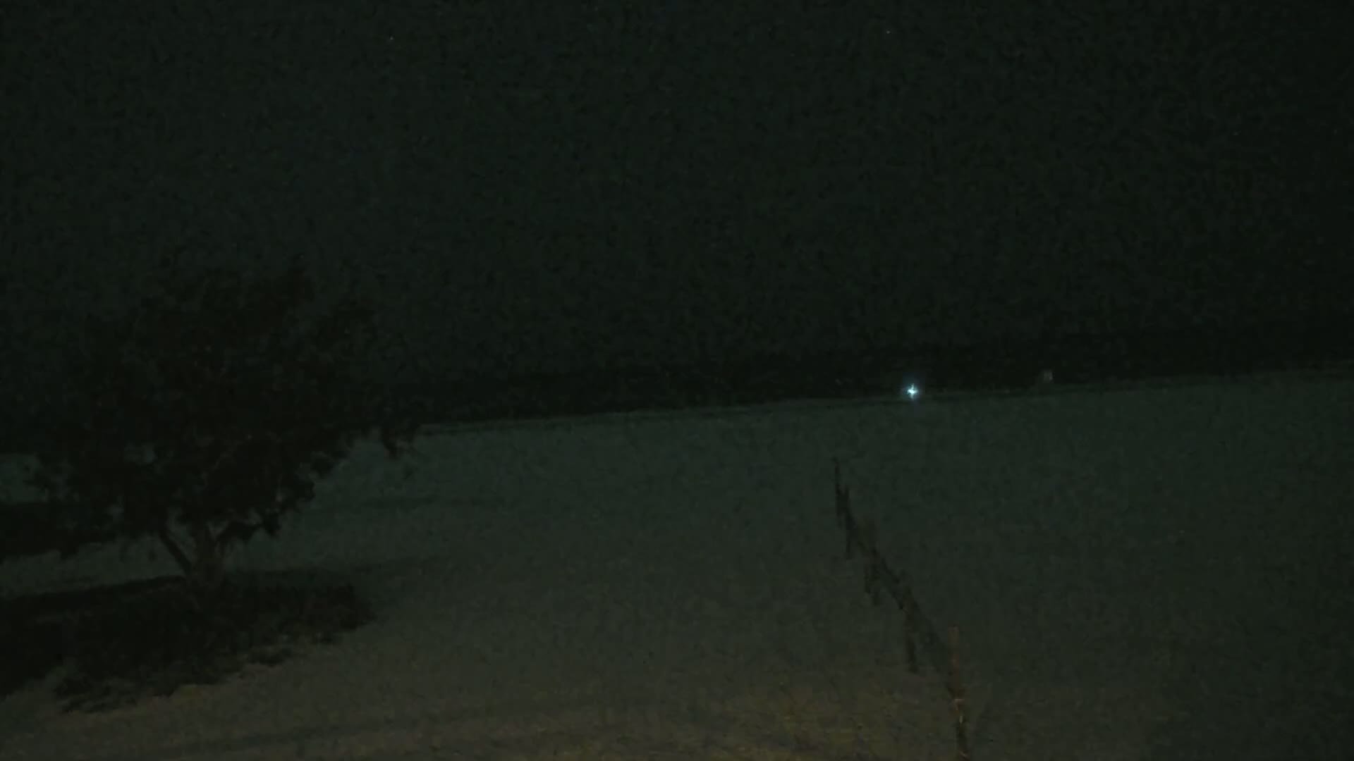 A dark, nighttime scene shows a small tree to the left, a fence extending from the middle-right to the bottom, and a distant light on a seemingly flat, light-colored surface under a starlit sky.