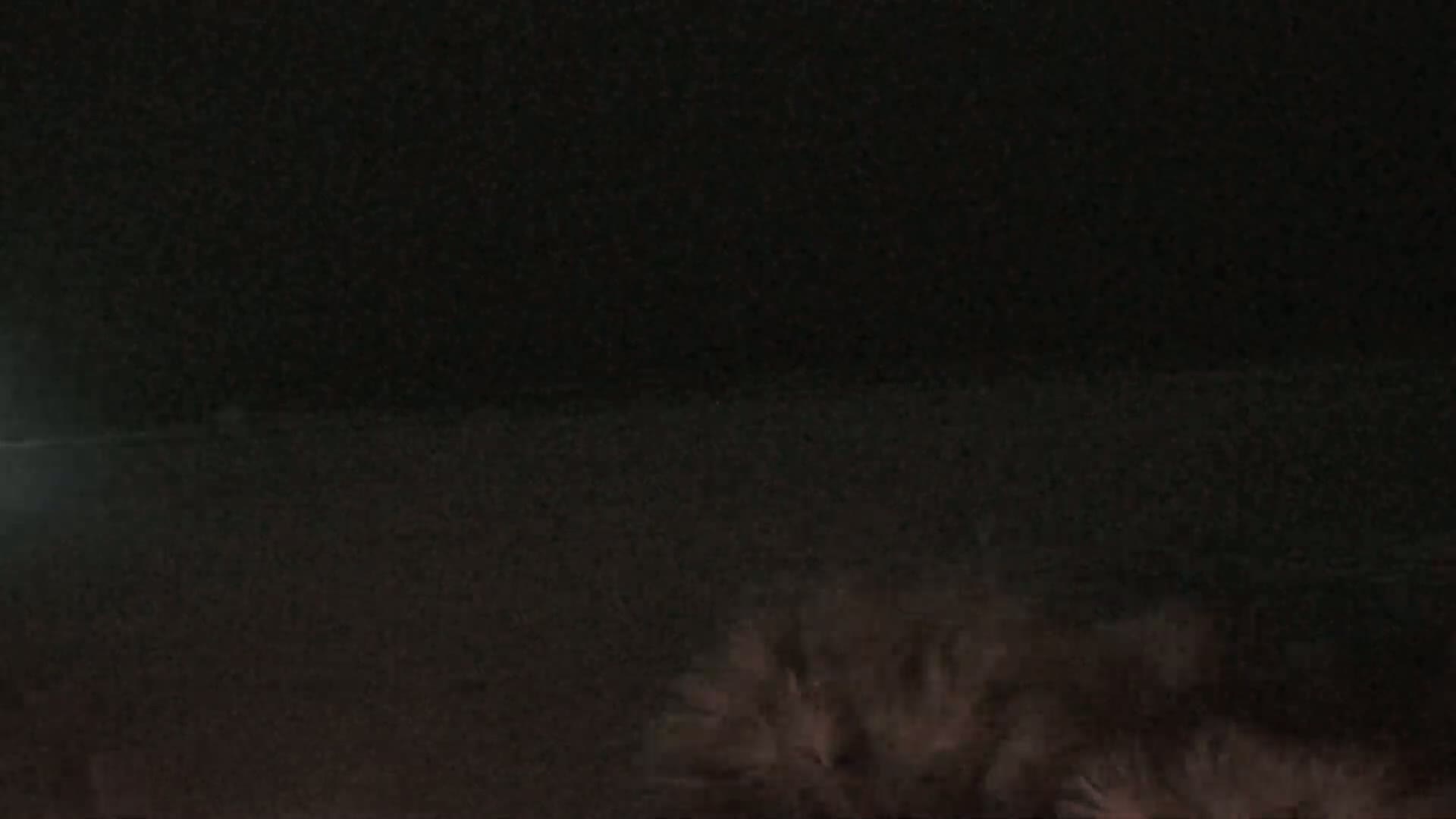 A fluffy gray cat is partially visible in low light.