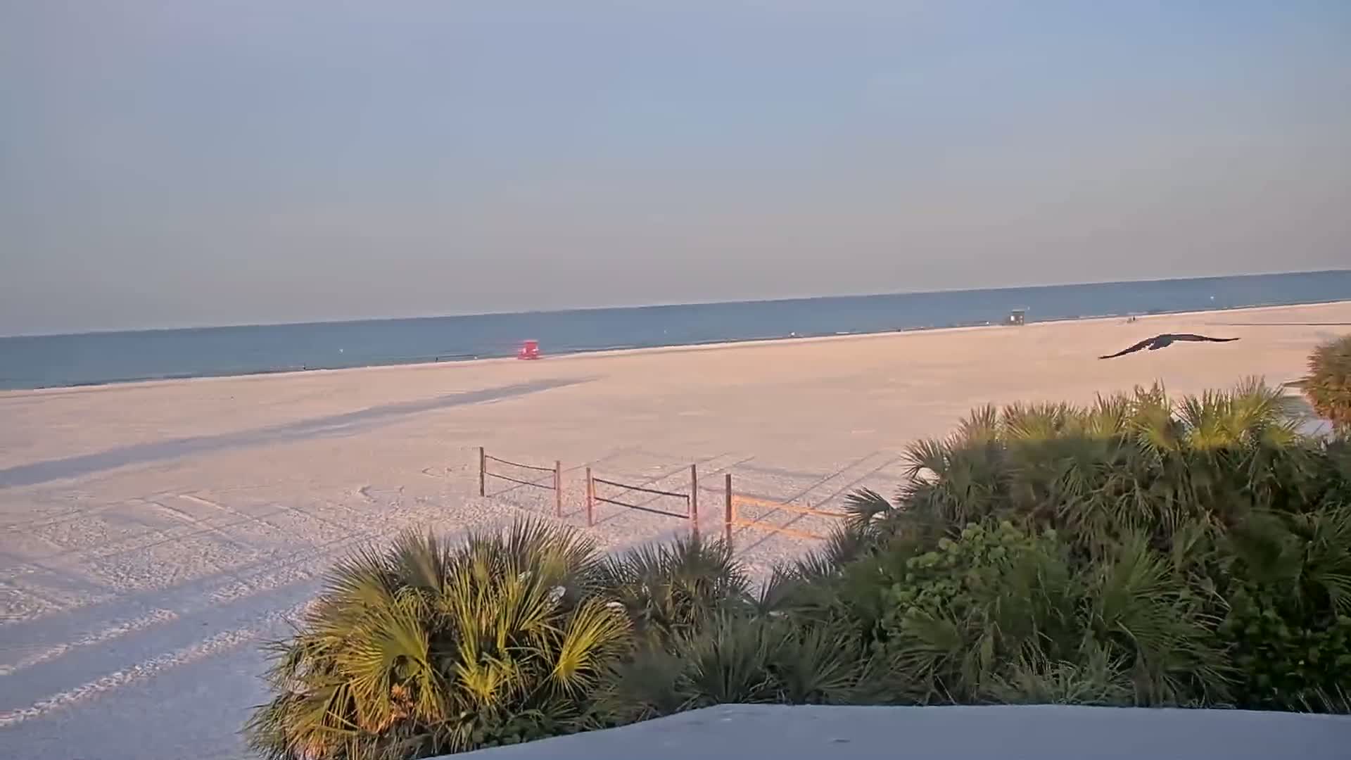 A bird flies over a wide, sandy beach next to a calm ocean under a clear sky.
