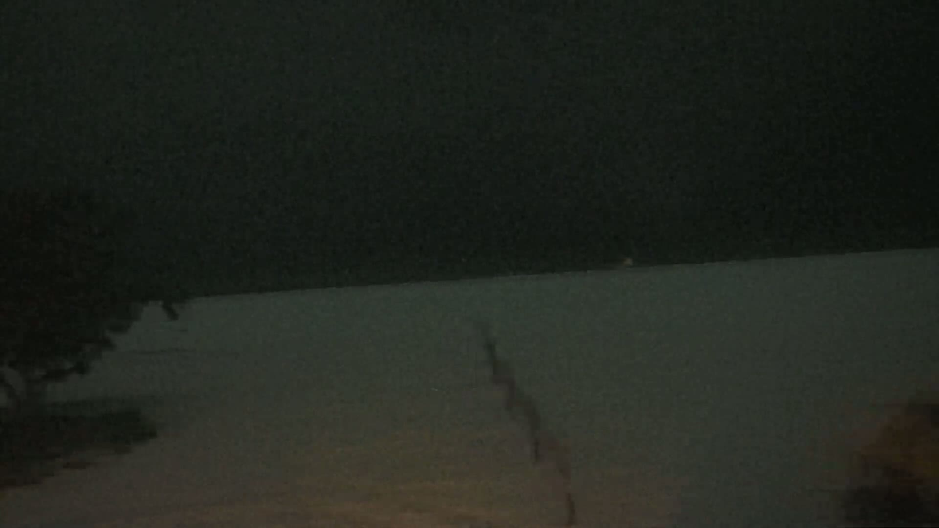 A dark, snowy scene shows a mostly obscured road and a partially visible tree at night.