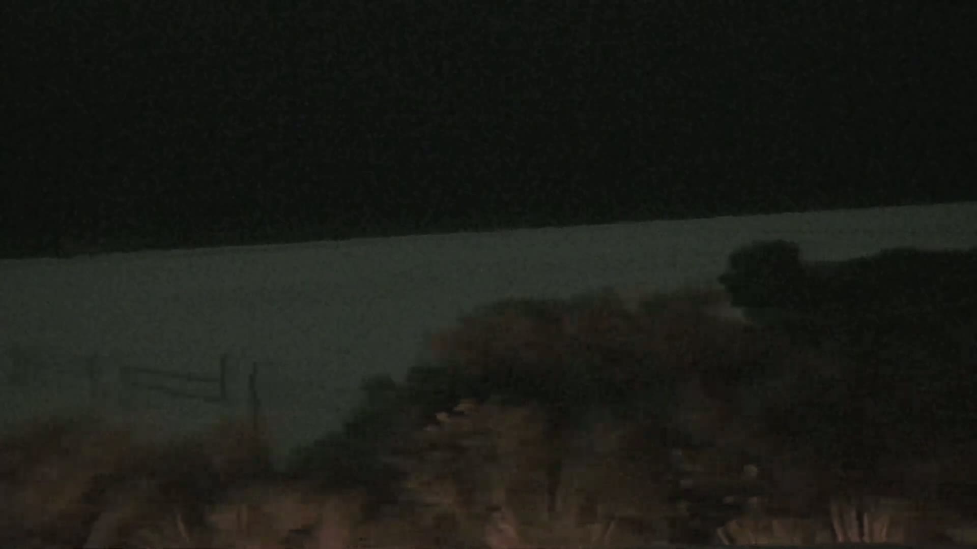 A dark, nighttime scene shows a body of water in the background and dark vegetation in the foreground.