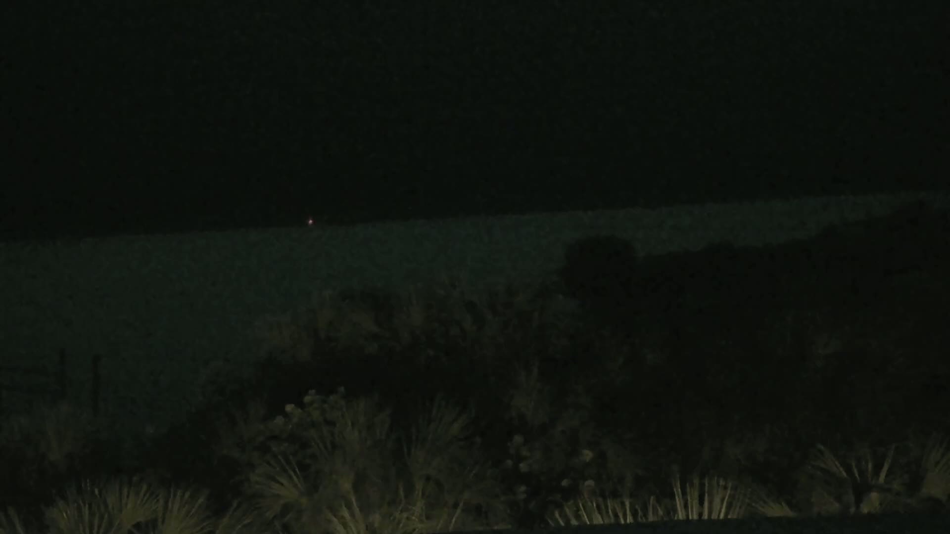 A dark, nighttime scene shows a body of water in the distance, partially obscured by dark shrubbery in the foreground.