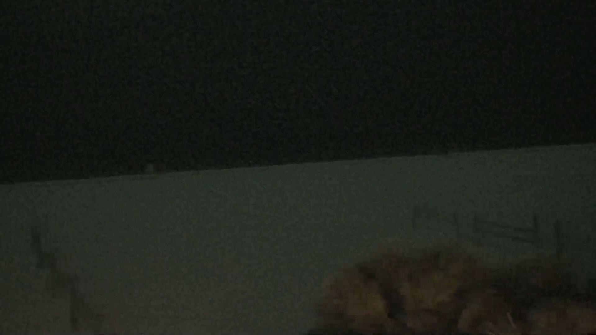A blurry, dark image shows a shadowy figure and hay or straw in the lower right corner, against a dark gray background.