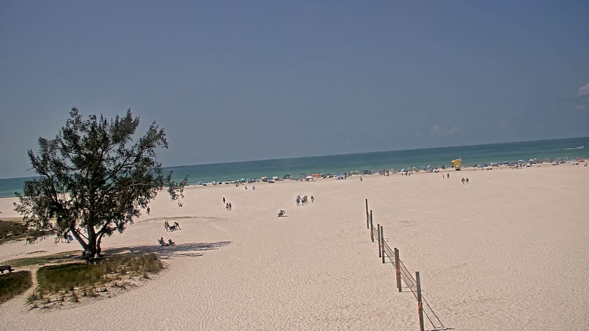 A sandy beach with scattered people, a lone tree near the shore, and a volleyball net stretches across the sand under a clear, sunny sky, overlooking a calm ocean.