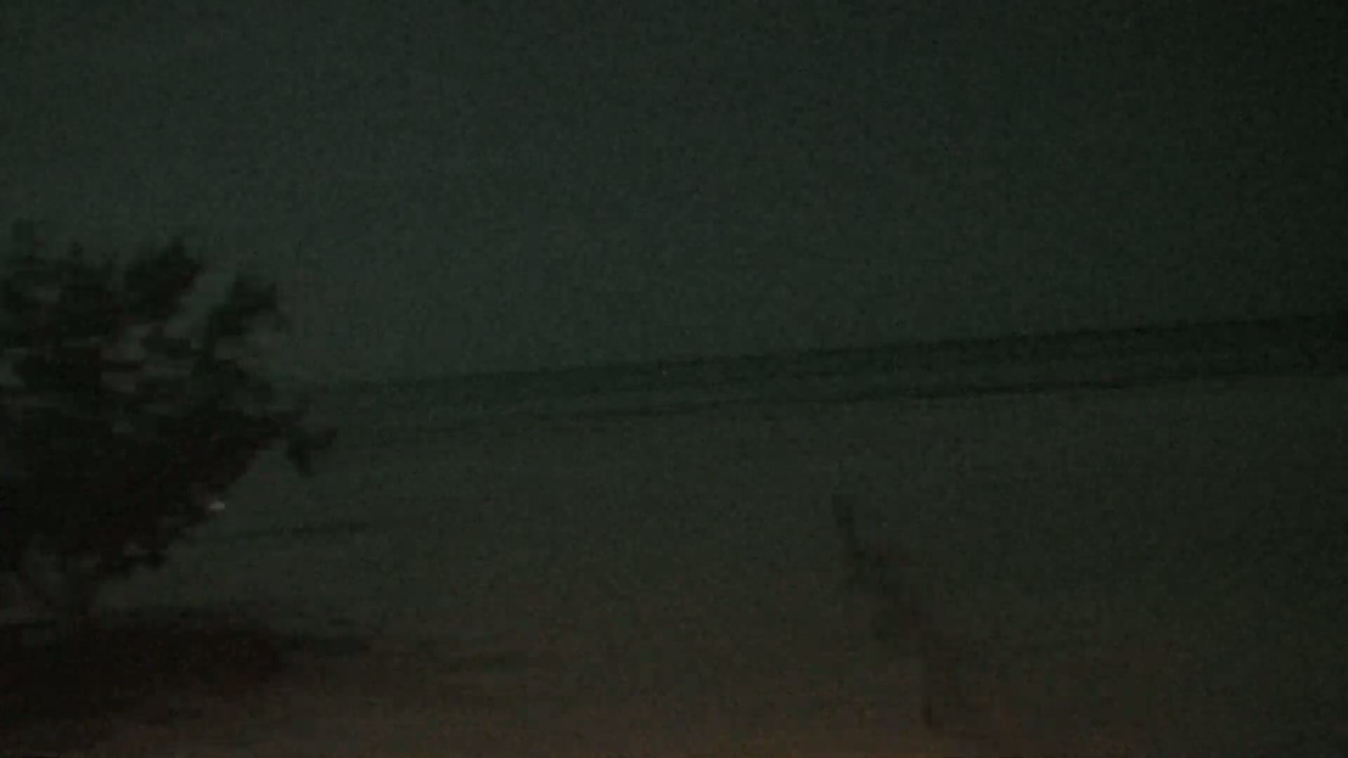 A dark, blurry nighttime scene shows a tree to the left and a body of water in the distance under a mostly cloudy sky.