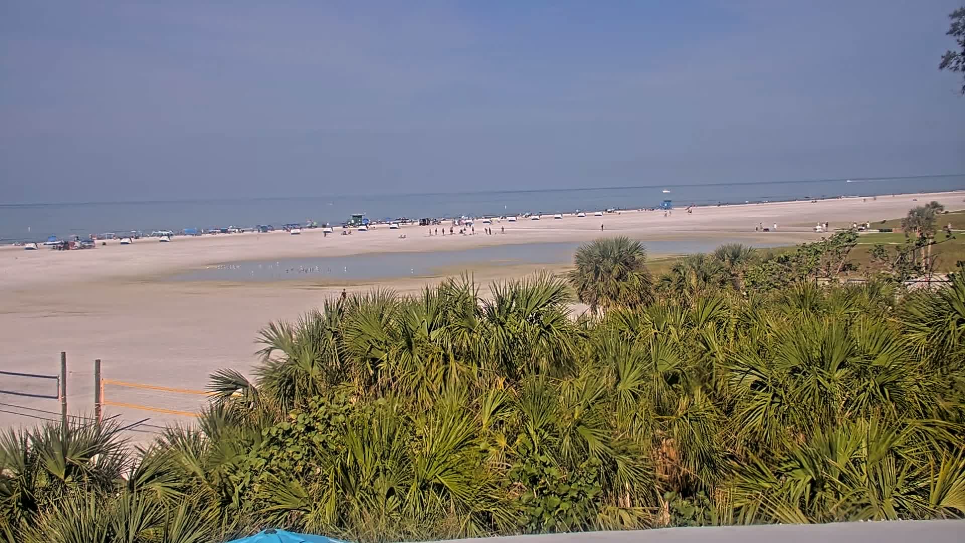 A wide sandy beach with scattered people, a calm ocean, and lush green vegetation in the foreground under a clear sky.