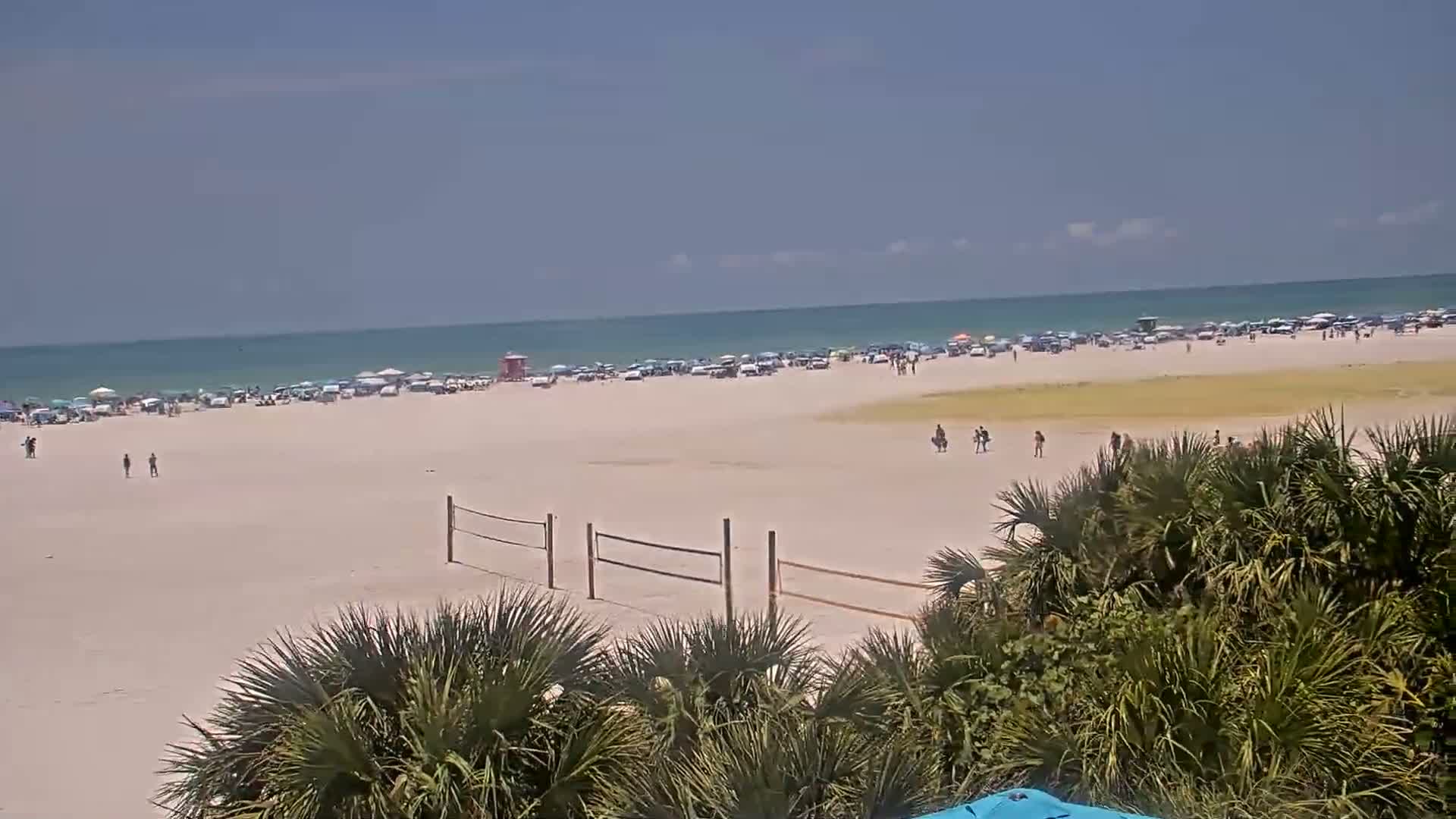 A mostly sunny beach scene shows many people and umbrellas on the sand, a volleyball net, and palm trees in the foreground with calm ocean waves in the background.