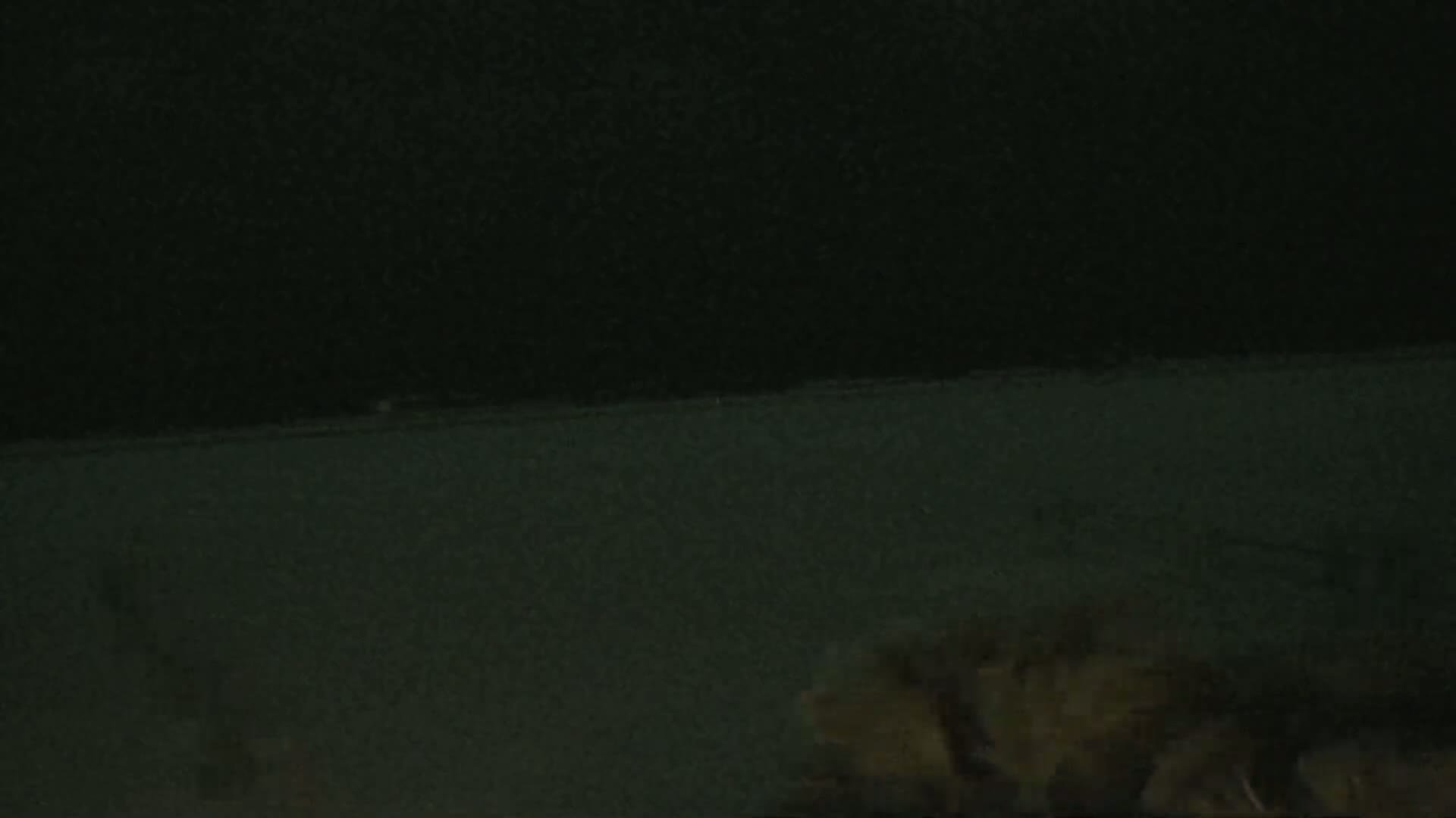 A dark, possibly nighttime scene shows a low-lying, blurry mass of light-colored objects in the lower right corner against a dark, textured background.