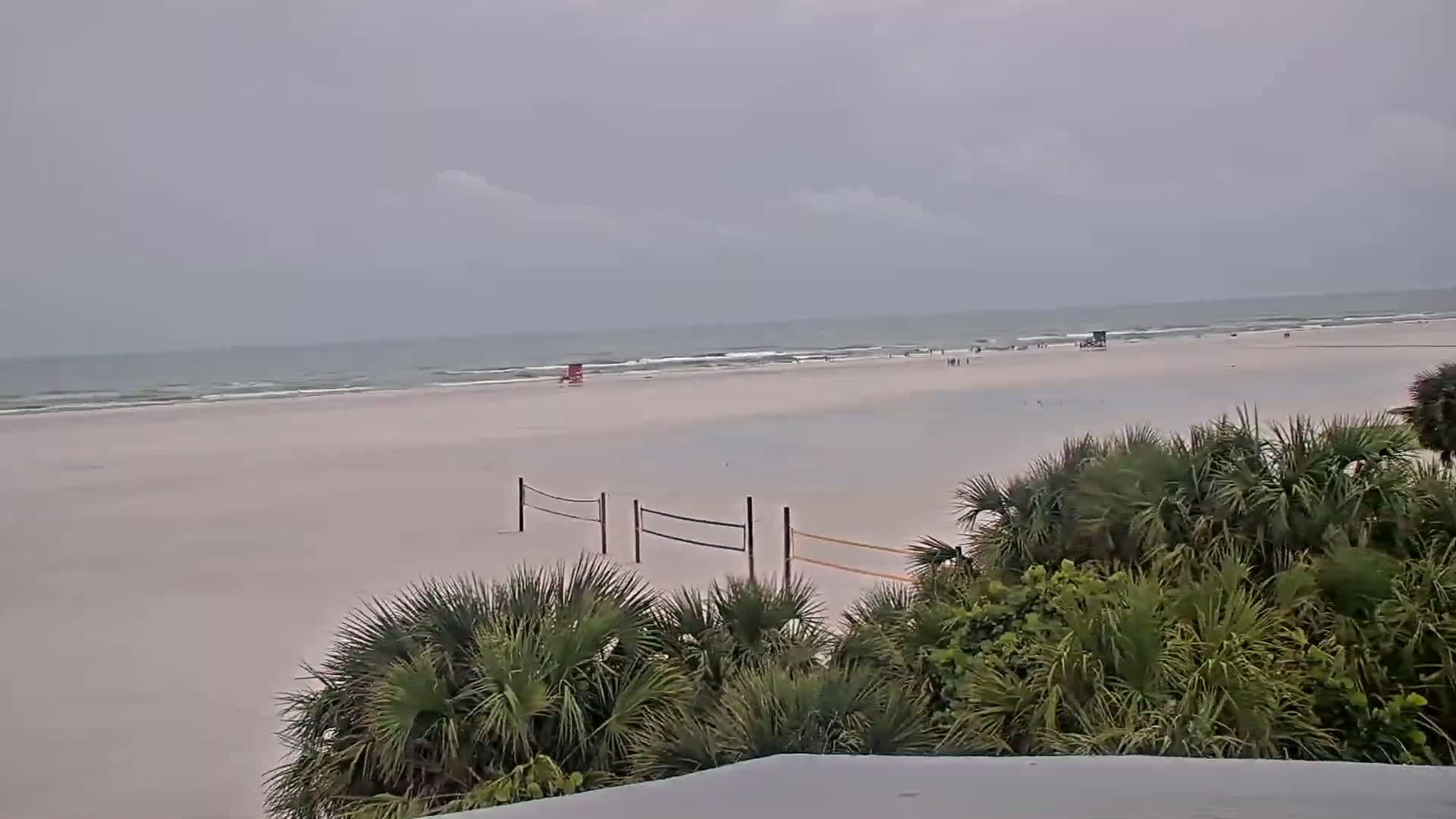 A wide, sandy beach with a volleyball net and some people is seen from behind a row of palm trees under an overcast sky.