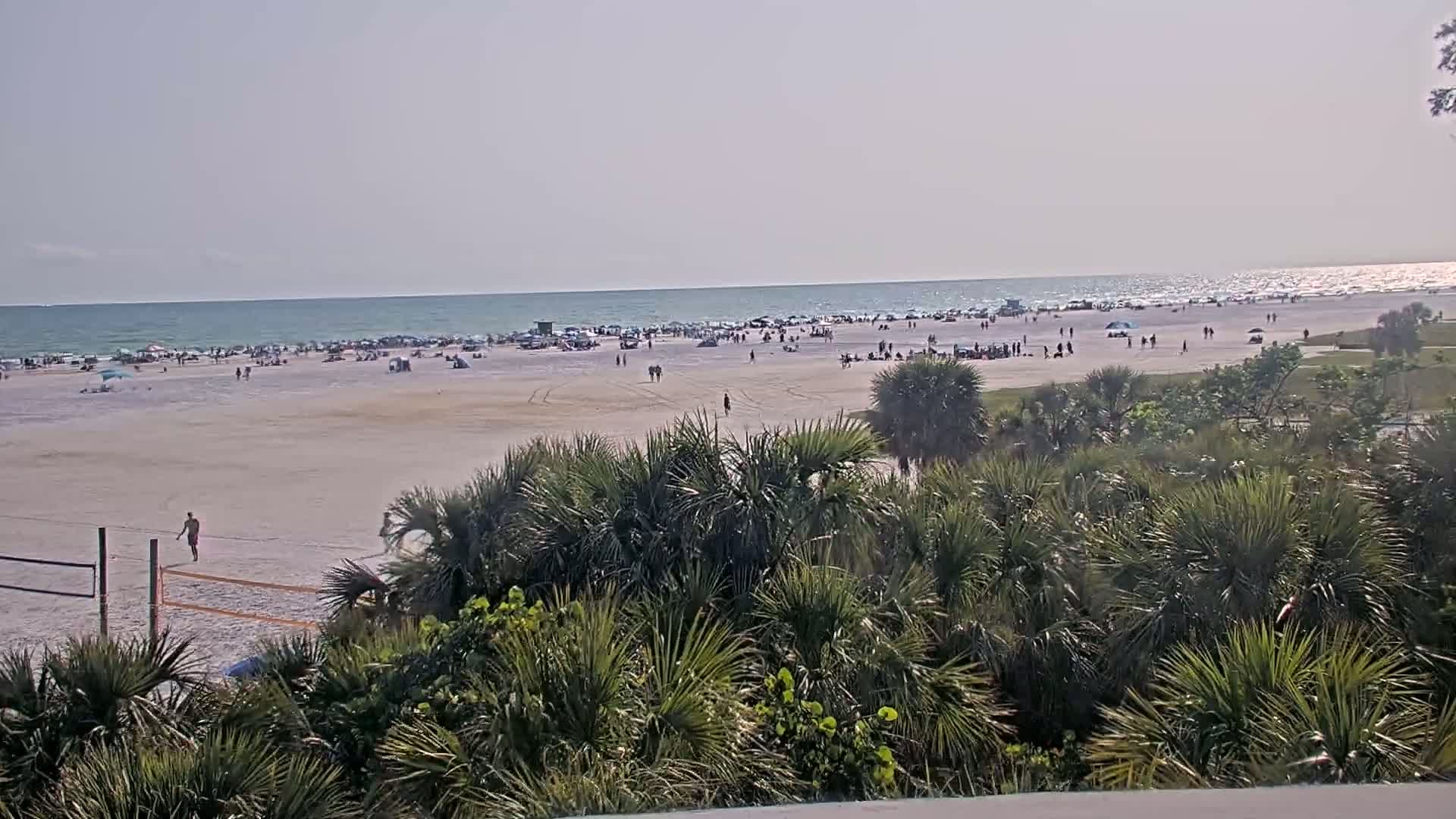 A sunny beach scene shows a large number of people scattered across a wide sandy beach next to a calm ocean, viewed from behind a line of palm-like vegetation.