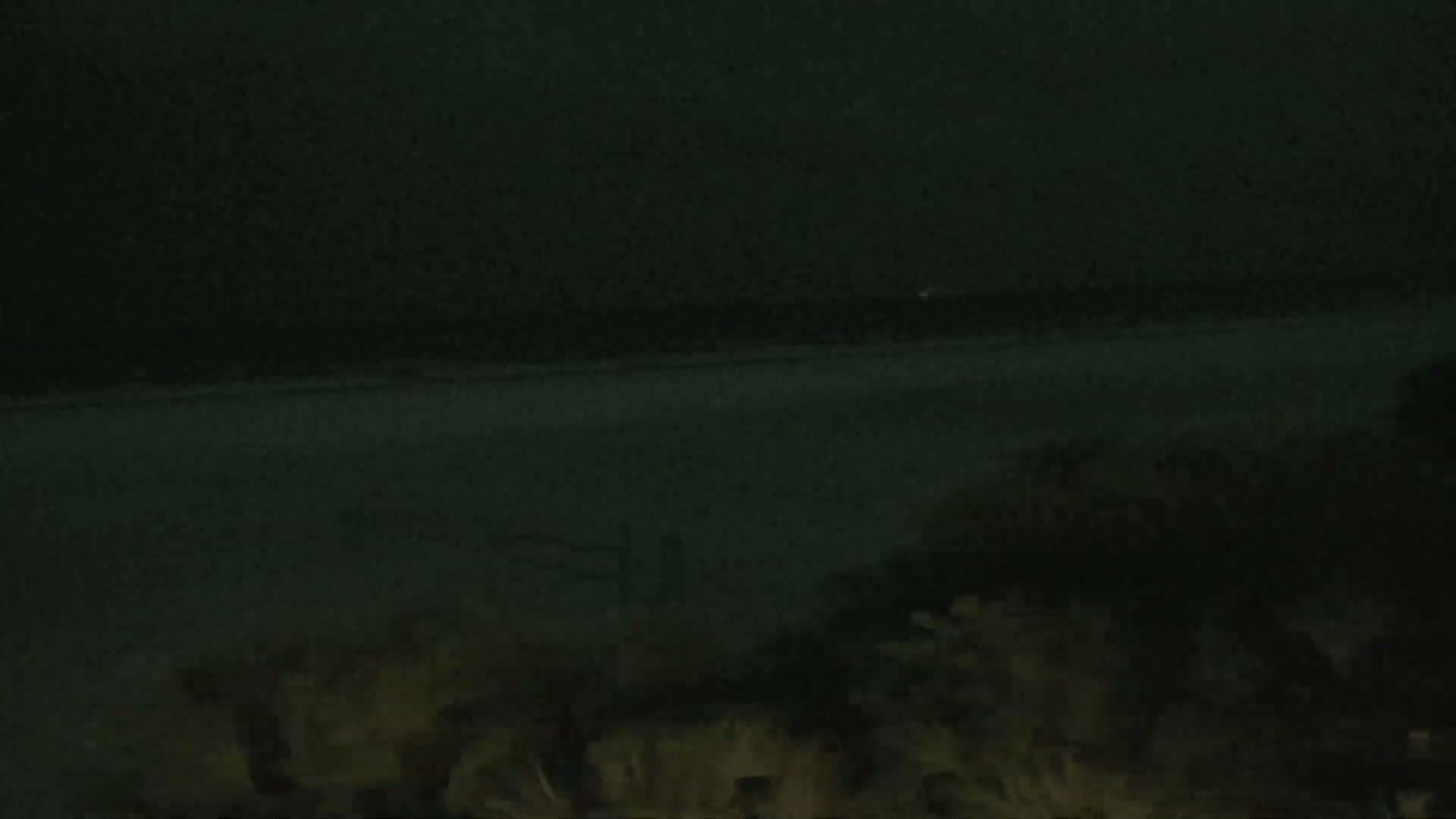 A dark, nighttime scene shows a body of water in the distance, with low-lying vegetation in the foreground under a clouded sky.