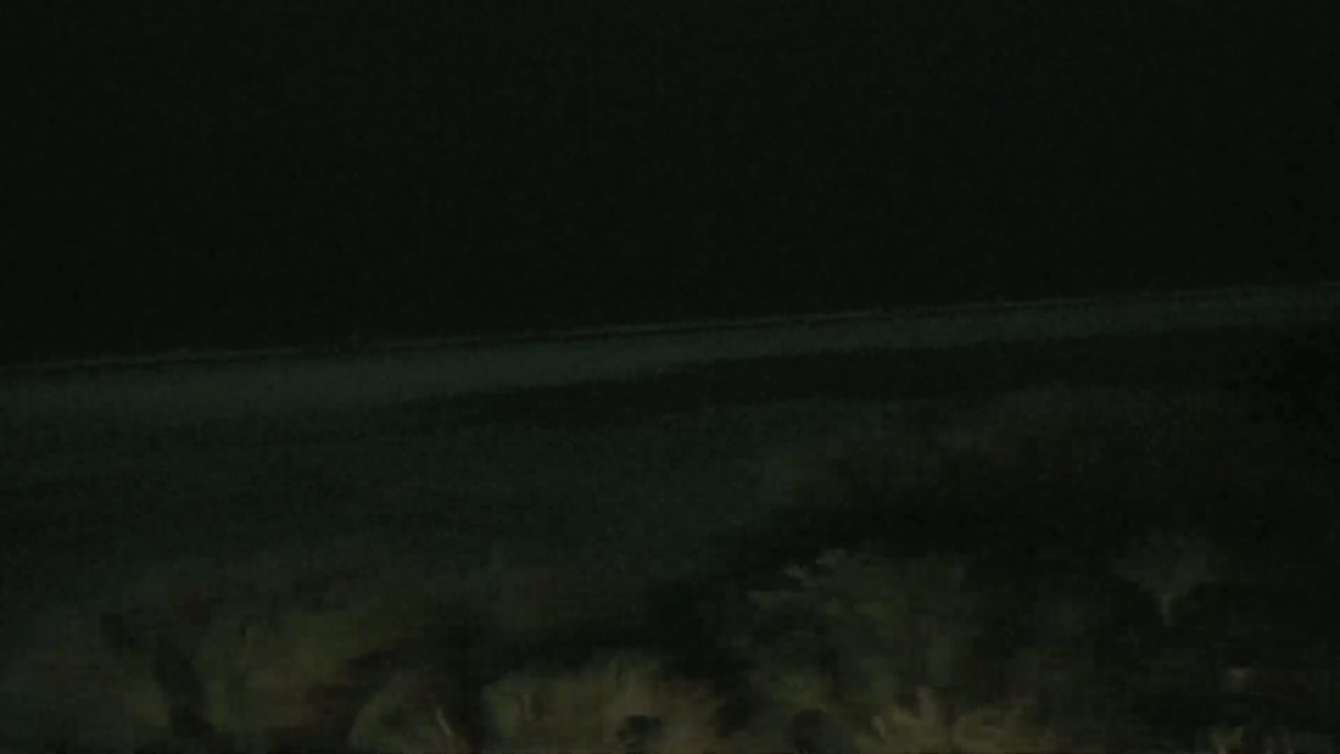 A dark, nighttime scene shows a dimly lit body of water in the distance and dark vegetation in the foreground.