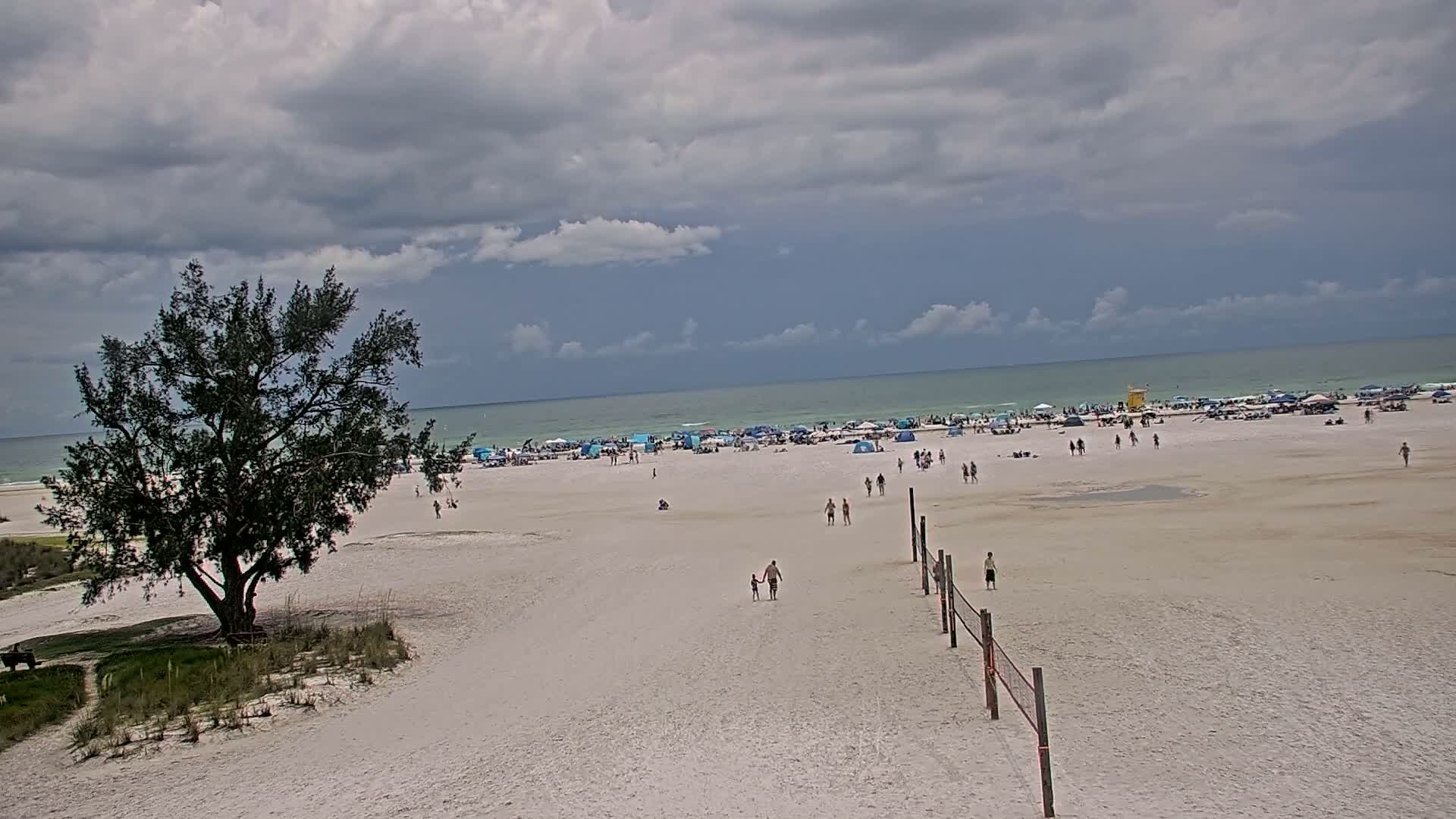 A mostly cloudy day at a beach shows many people scattered across the sand, with a volleyball net set up and a lone tree near the dune line.