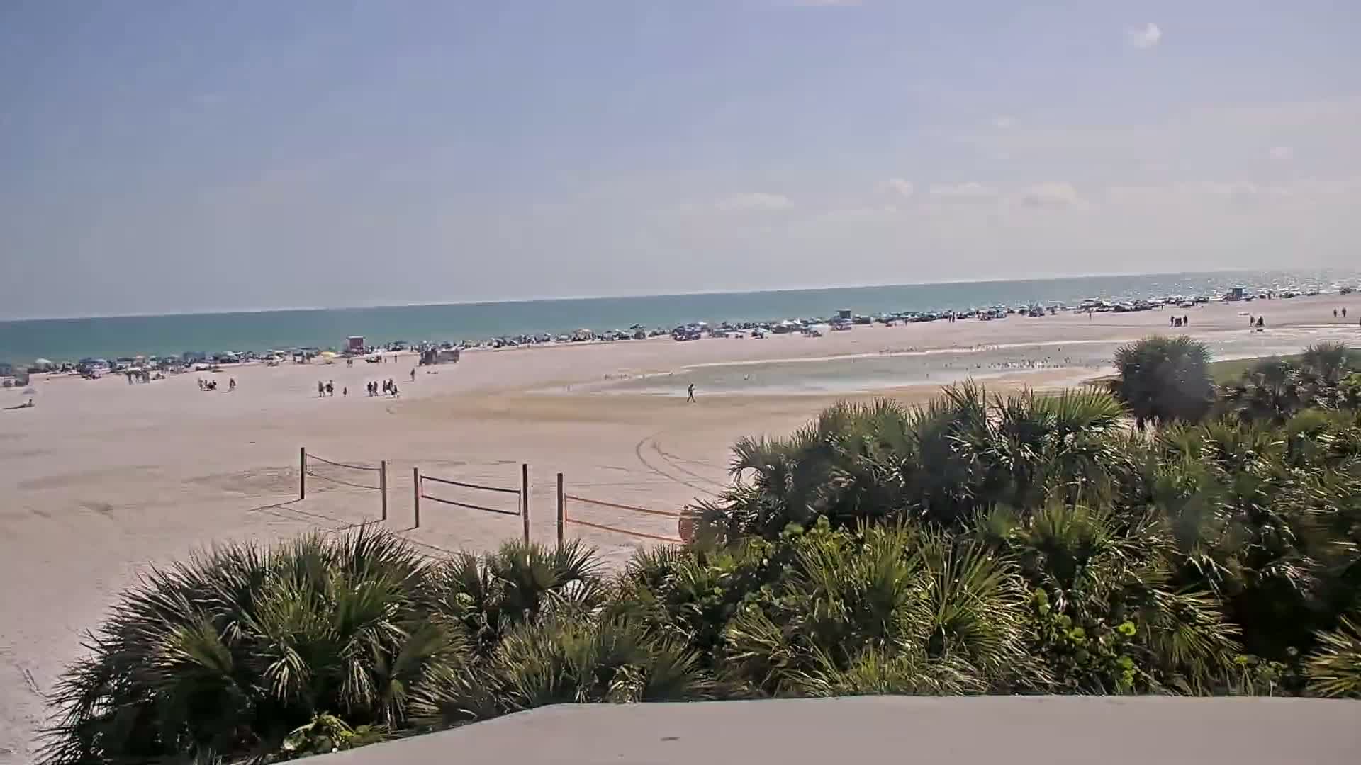 A sandy beach with a calm ocean, numerous people, and volleyball nets is viewed from behind a line of low-lying, green vegetation on a sunny day.