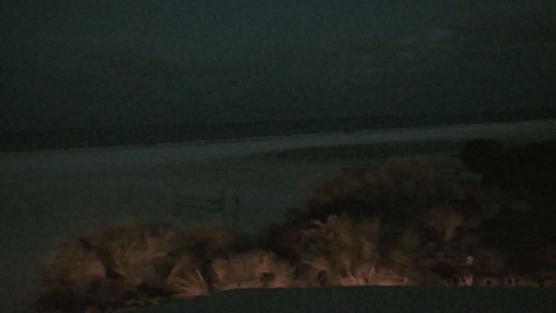 Lit bushes are seen at night near a dark ocean under a dark sky.