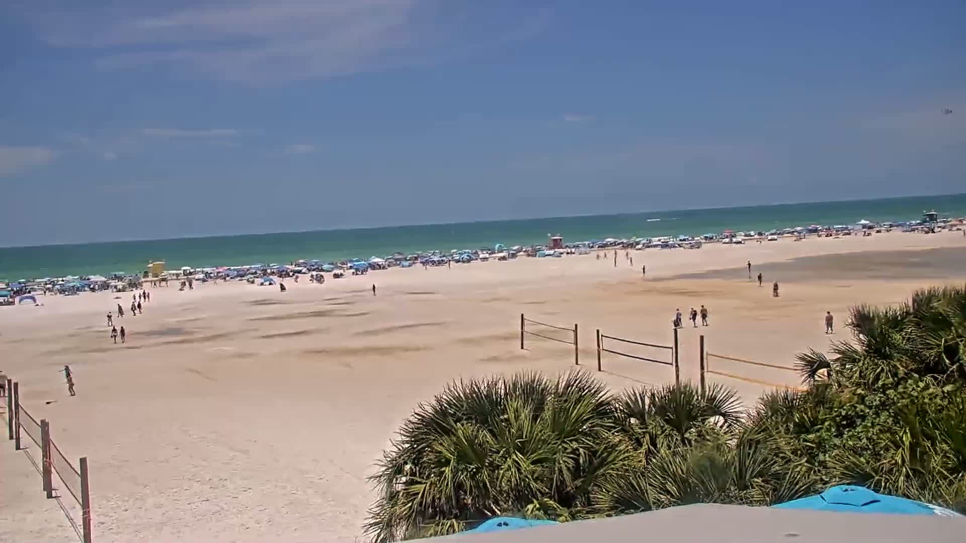 A sunny beach with scattered people, beach umbrellas, and a volleyball net is visible from behind some palm trees, with a calm ocean in the background.