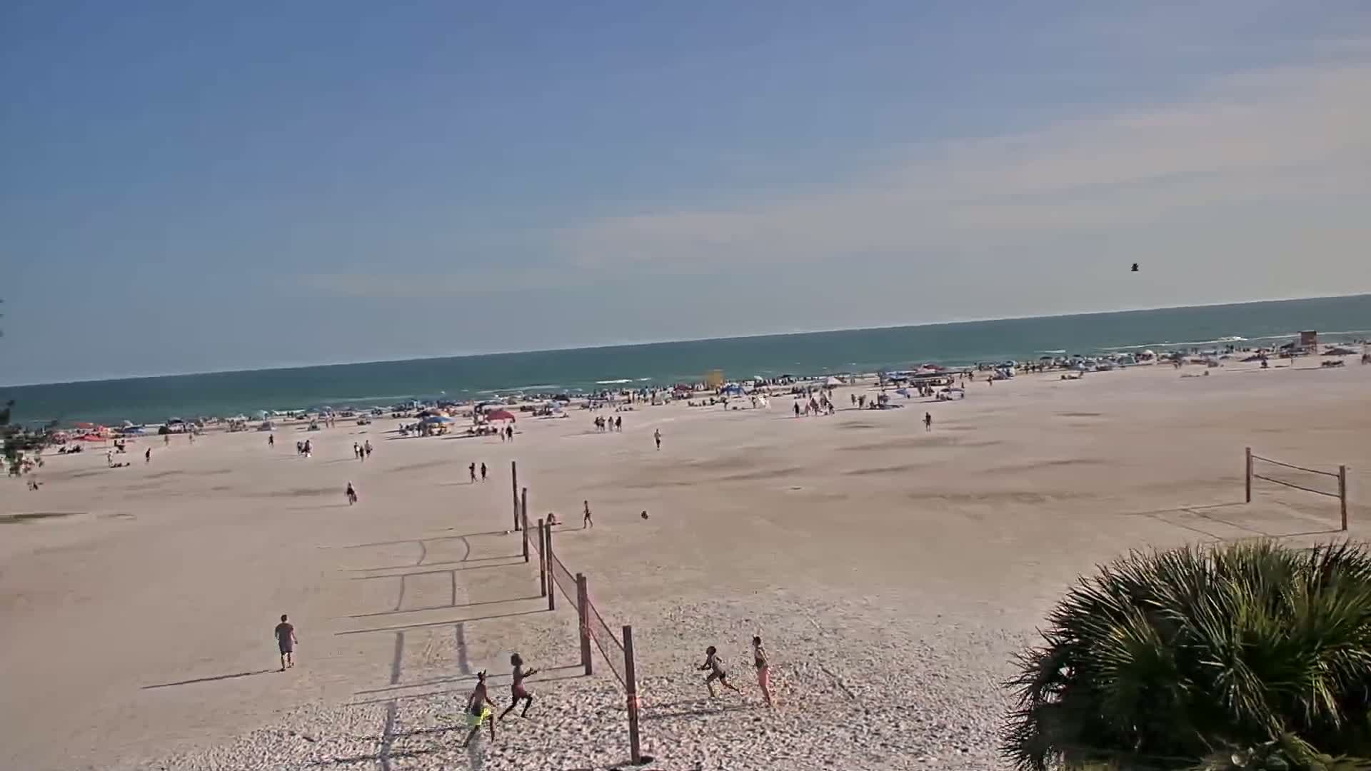 A sunny beach with scattered people, beach umbrellas, and a volleyball net is visible from behind some palm trees, with a calm ocean in the background.