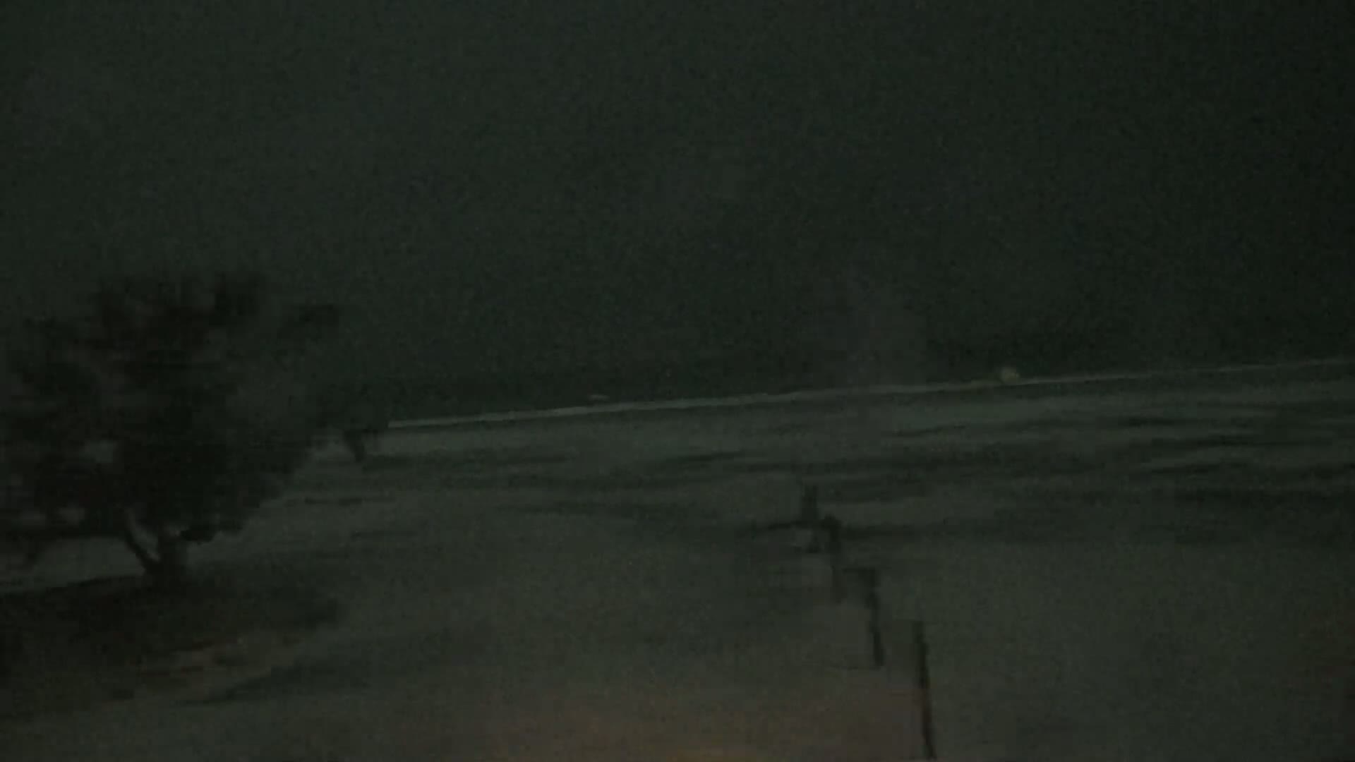 A dark, snowy night scene shows a small tree to the left and a flat, snow-covered expanse extending to a dimly lit horizon.