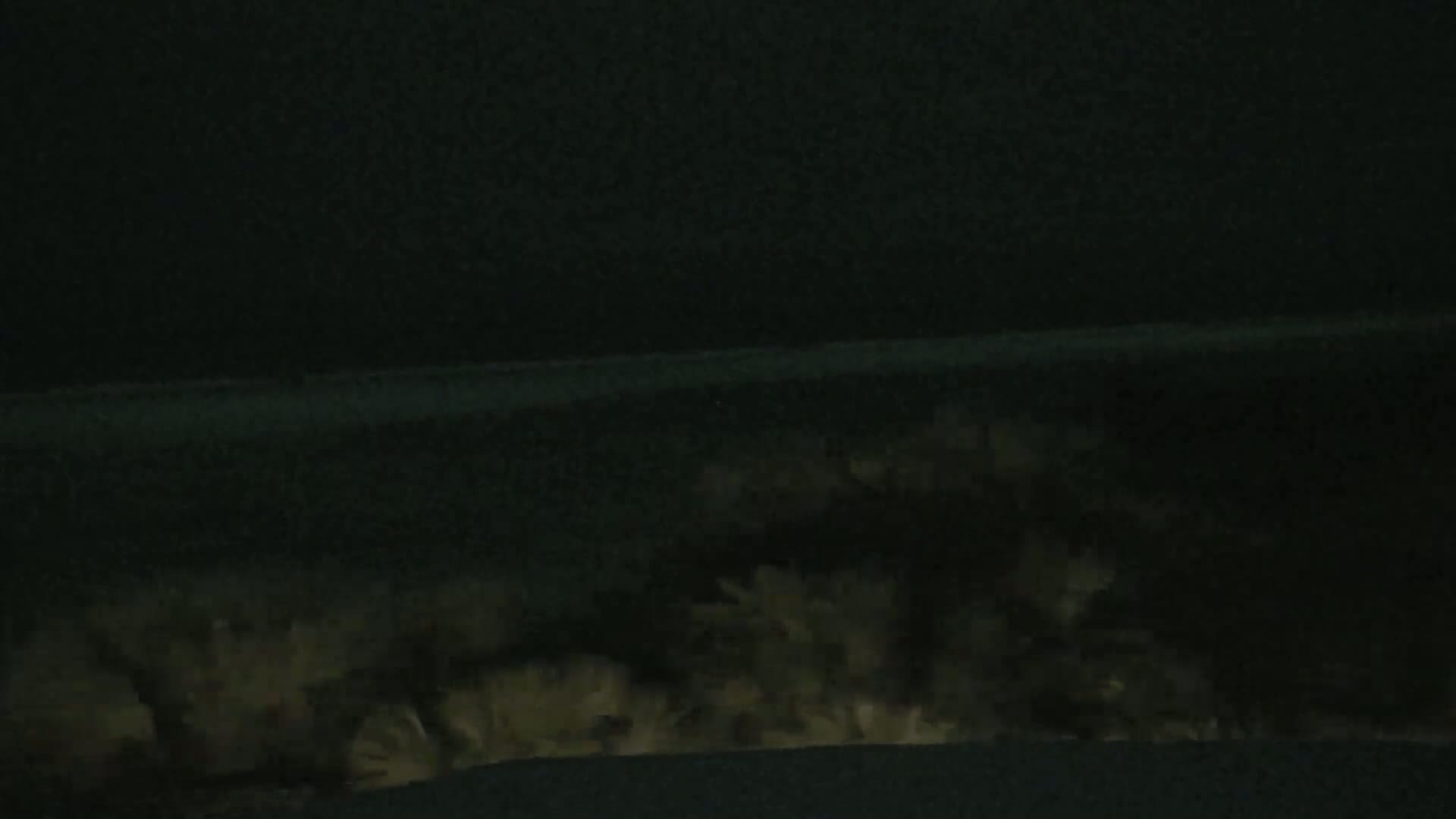 A low-light image shows a dark body of water with faintly visible light-colored objects at the bottom.