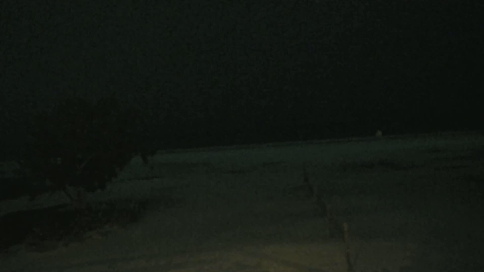 A dark, snowy landscape is visible at night, with a partially visible fence in the foreground.