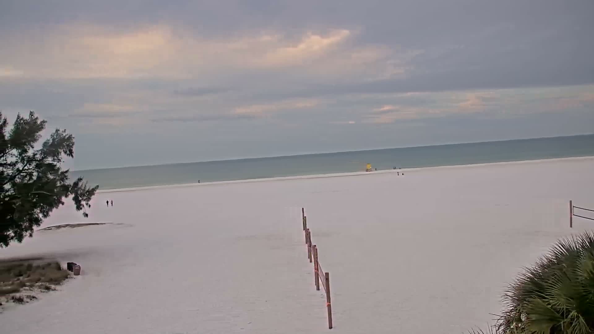 A calm, dimly lit beach scene at twilight or night features a vast expanse of pale sand leading to a dark ocean horizon, with a faint wooden fence and shadowy foreground foliage under a deep blue-grey sky.
