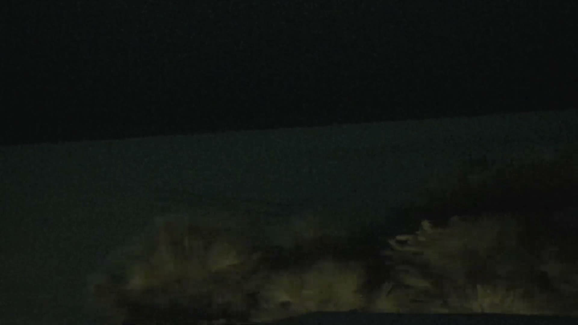 Siesta Key Beach Live Cam - Siesta Key, Sarasota, Florida, USA