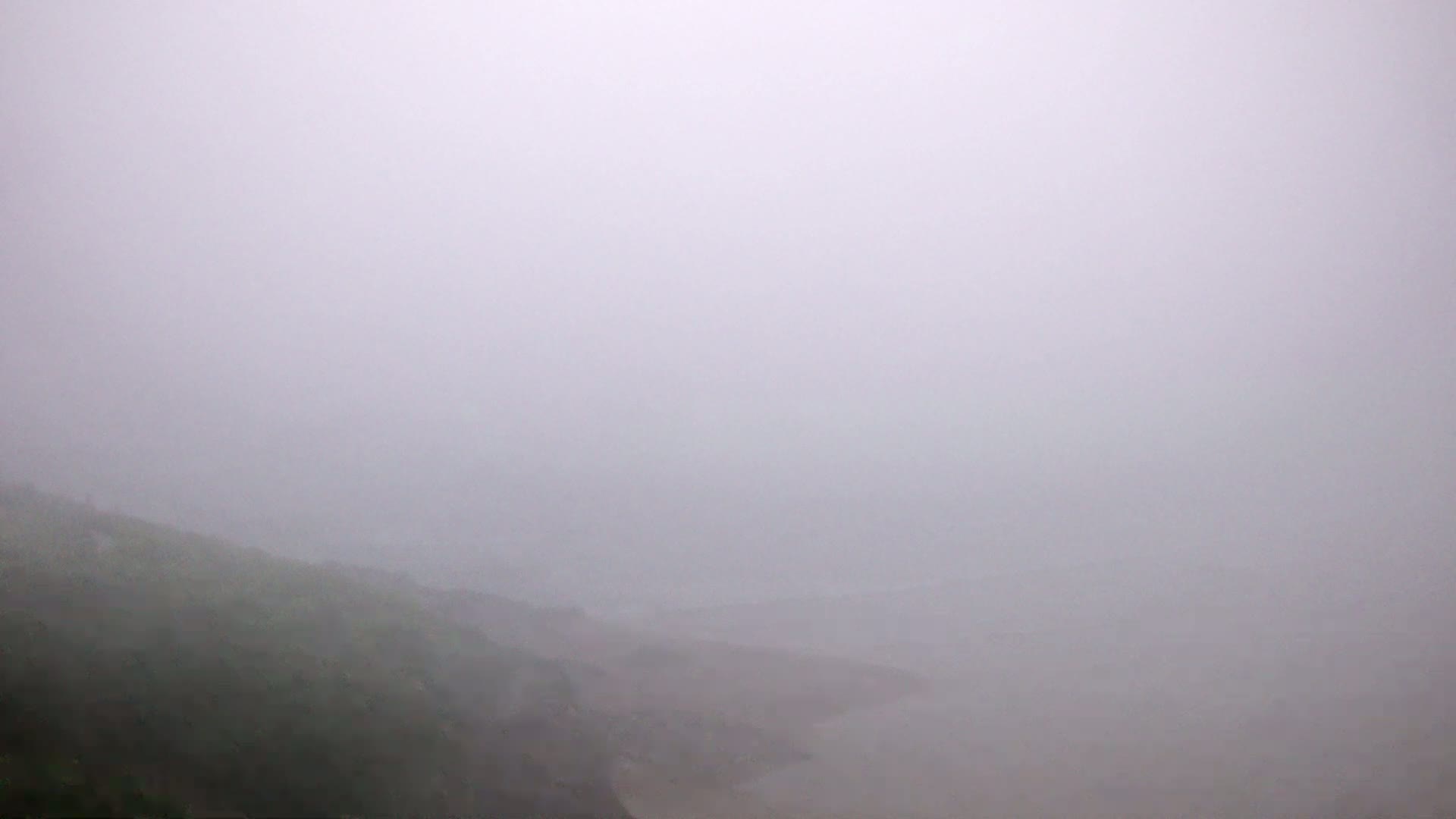 A foggy, overcast day obscures the view of a hillside sloping down to a body of water.