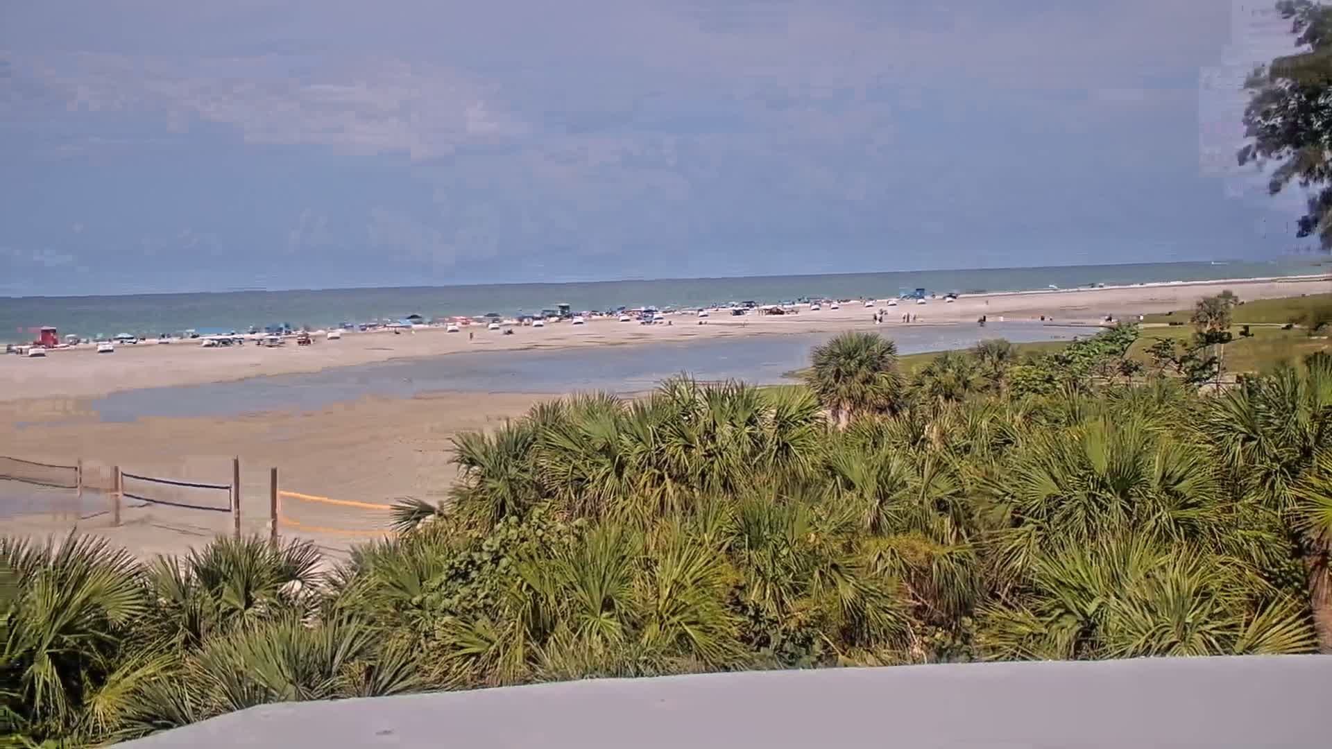 A mostly sunny day at a beach shows many people and vehicles on the sand, a calm ocean, and a foreground of lush green vegetation.