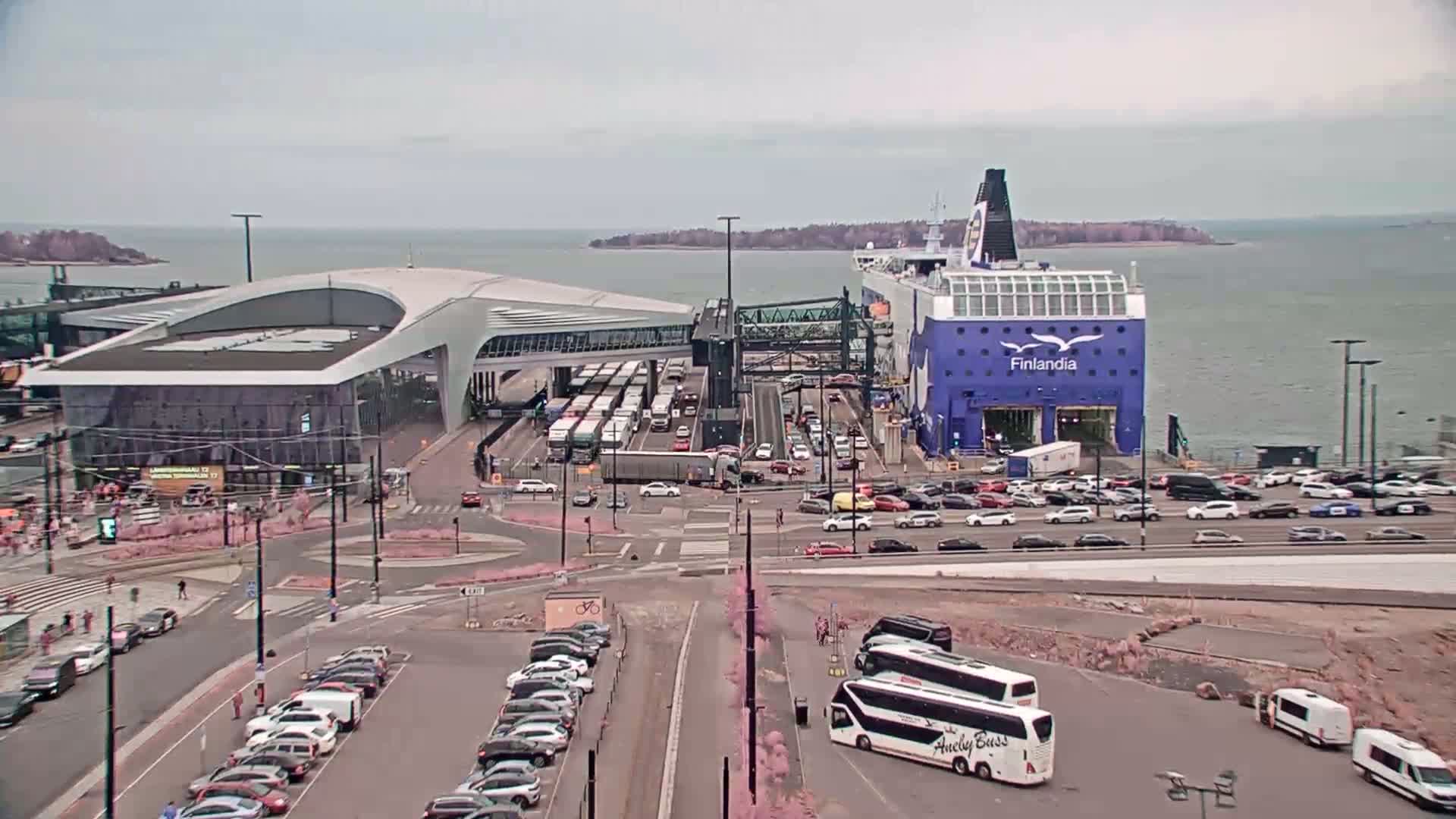 A large ferry is docked at a terminal, surrounded by numerous cars and buses in an overcast outdoor setting.