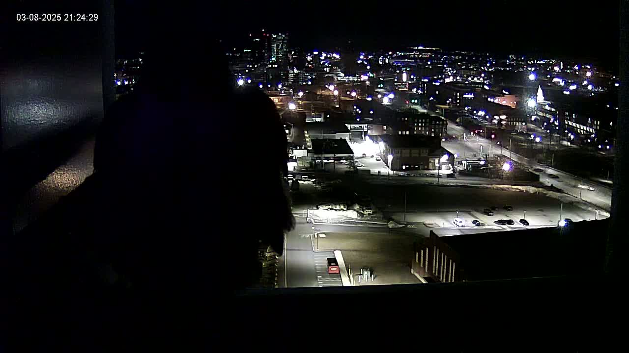 A silhouetted figure looks out a window at a brightly lit city at night, partially covered in snow.