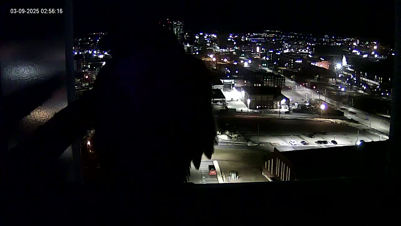 A silhouetted figure is seen from behind, looking out a window at a nighttime cityscape with sparsely snow-covered ground.