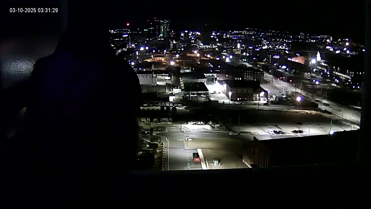 A silhouetted figure is seen from behind at night, looking out a window at a city's illuminated streets and buildings covered in snow.