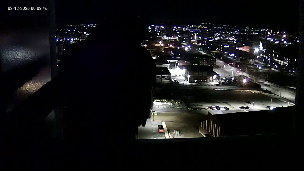 A nighttime view from a window shows a city illuminated with streetlights and building lights, under clear skies.