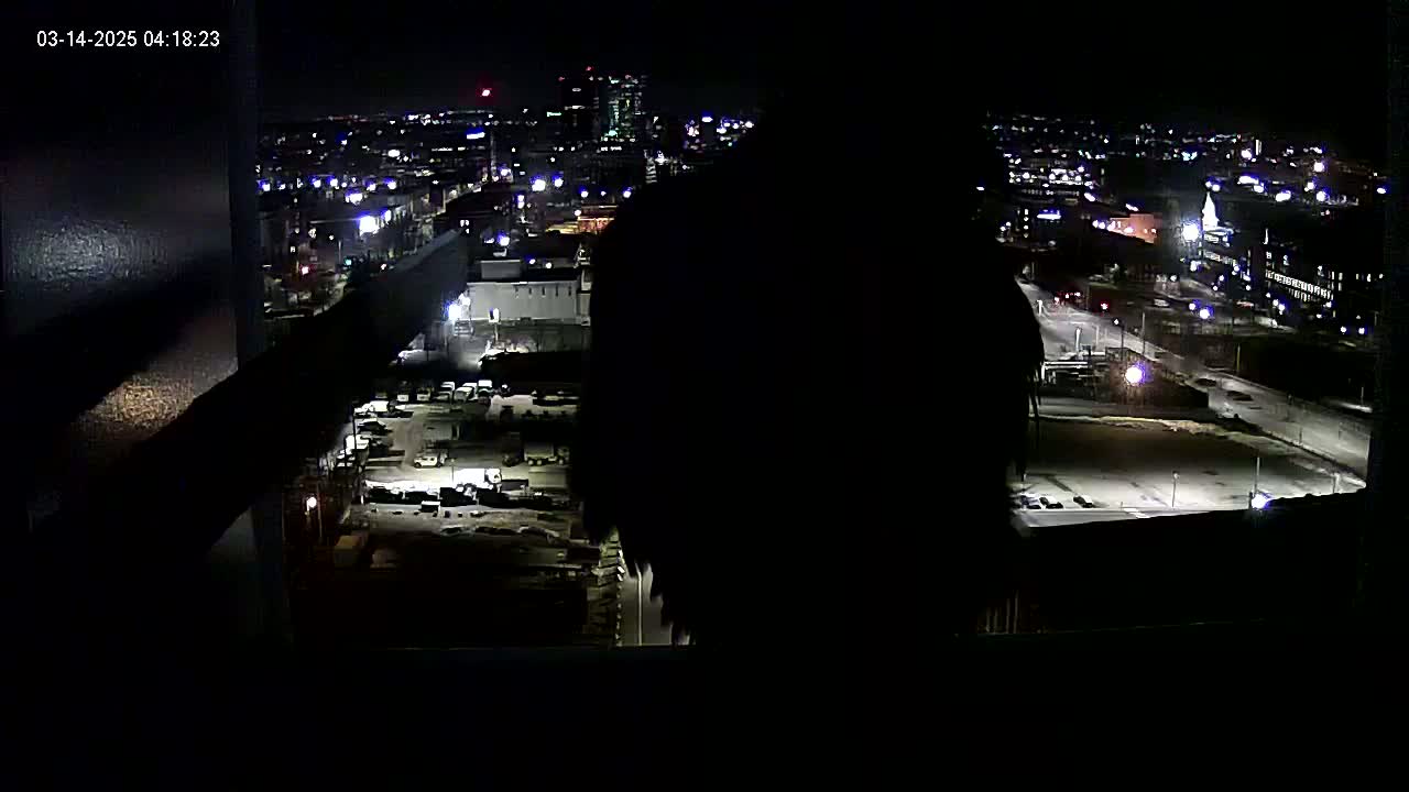 A nighttime, high-angle view from a building shows a city with many lights, a parking lot, and a road.
