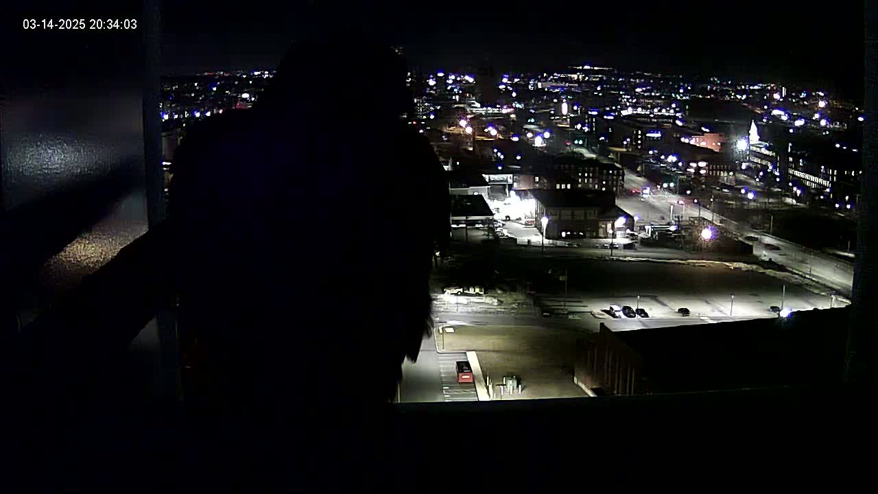 A dark silhouette is seen from a window at night overlooking a city illuminated by streetlights and building lights.