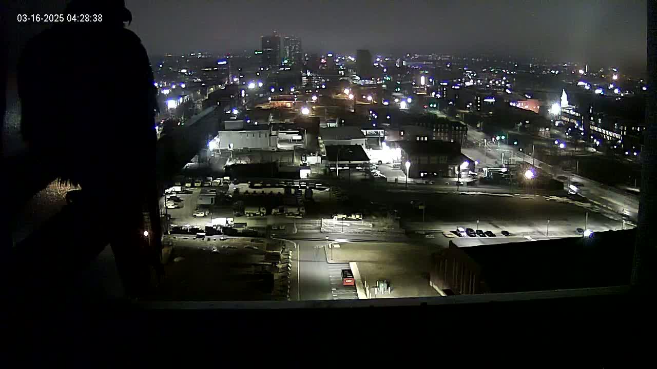 A nighttime, hazy view from a high vantage point shows a city with illuminated streets and buildings, a partially visible figure in silhouette in the foreground.