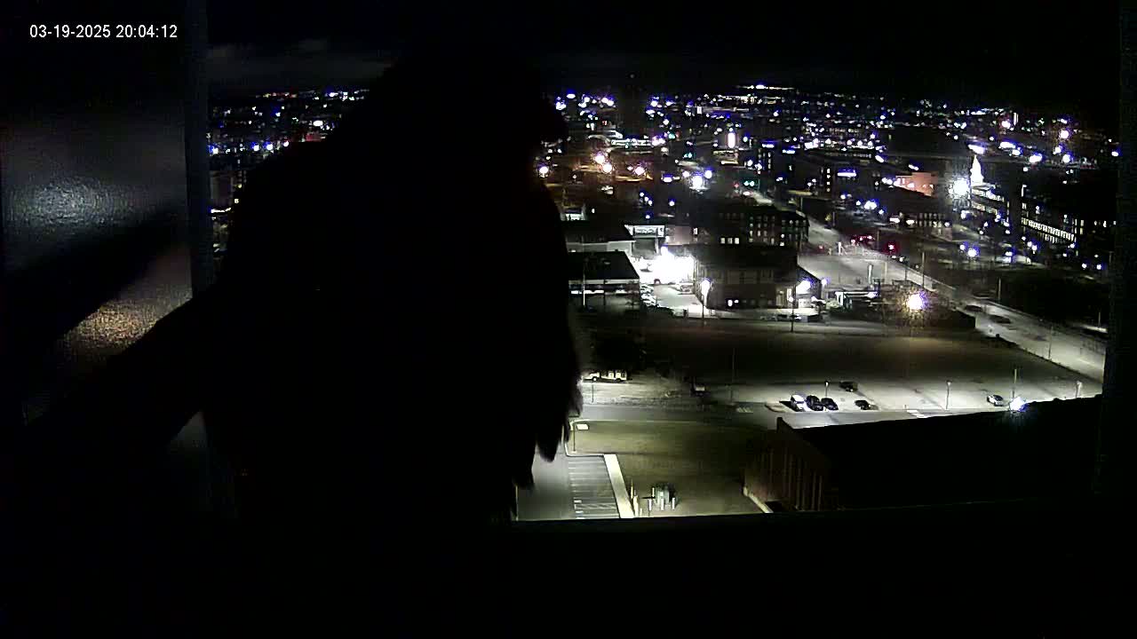 A dark, silhouetted figure is seen from behind, looking out a window at a nighttime cityscape with dimly lit streets and buildings.