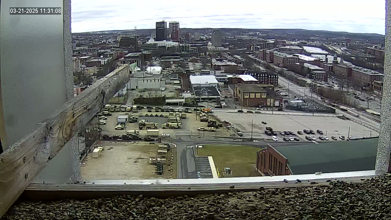 A high-angle, outdoor view on an overcast day shows a city landscape with a large parking lot filled with military vehicles and cars, along with various buildings and roads.