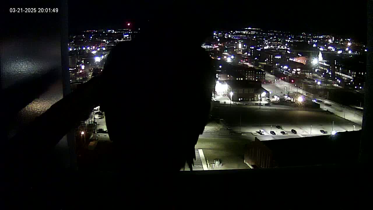 A silhouetted figure looks out a window at a brightly lit city at night.