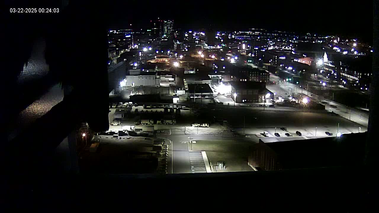 A nighttime, high-angle view of a city's industrial area and surrounding buildings, illuminated by artificial lights.