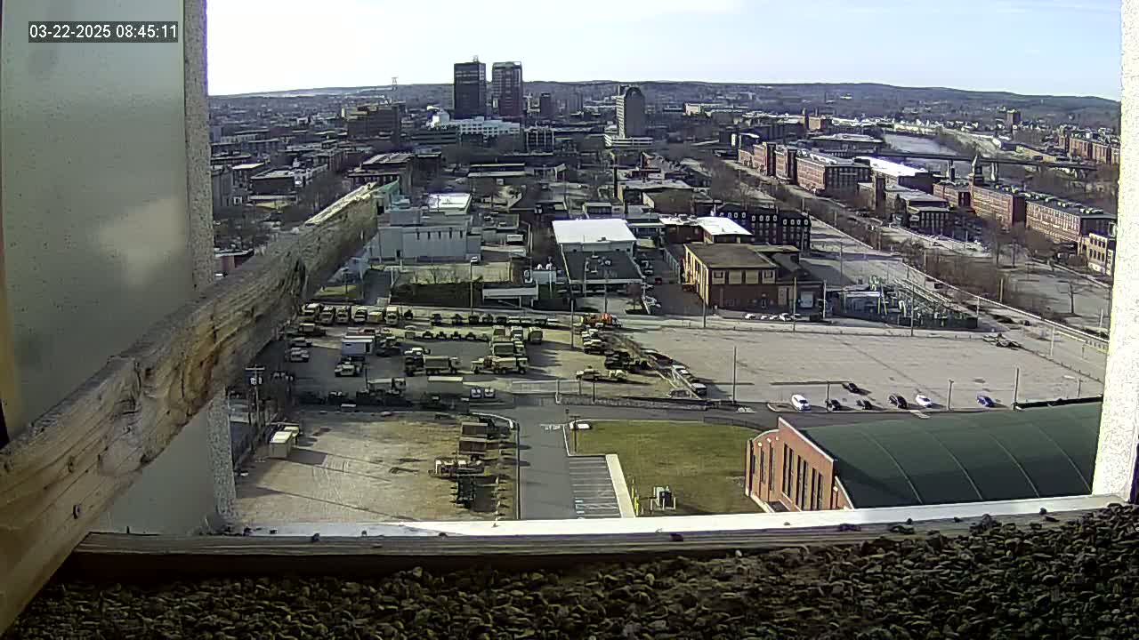 A high-angle, long shot on a sunny day shows a city landscape with a large parking lot filled with military vehicles, and several buildings, including a low-lying building with a dark green roof.