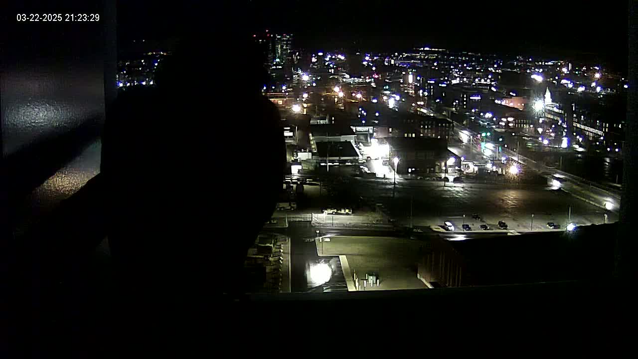 A nighttime view from a window shows a city illuminated with streetlights and building lights, some cars in parking lots, and a mostly dark silhouette of something in the foreground.