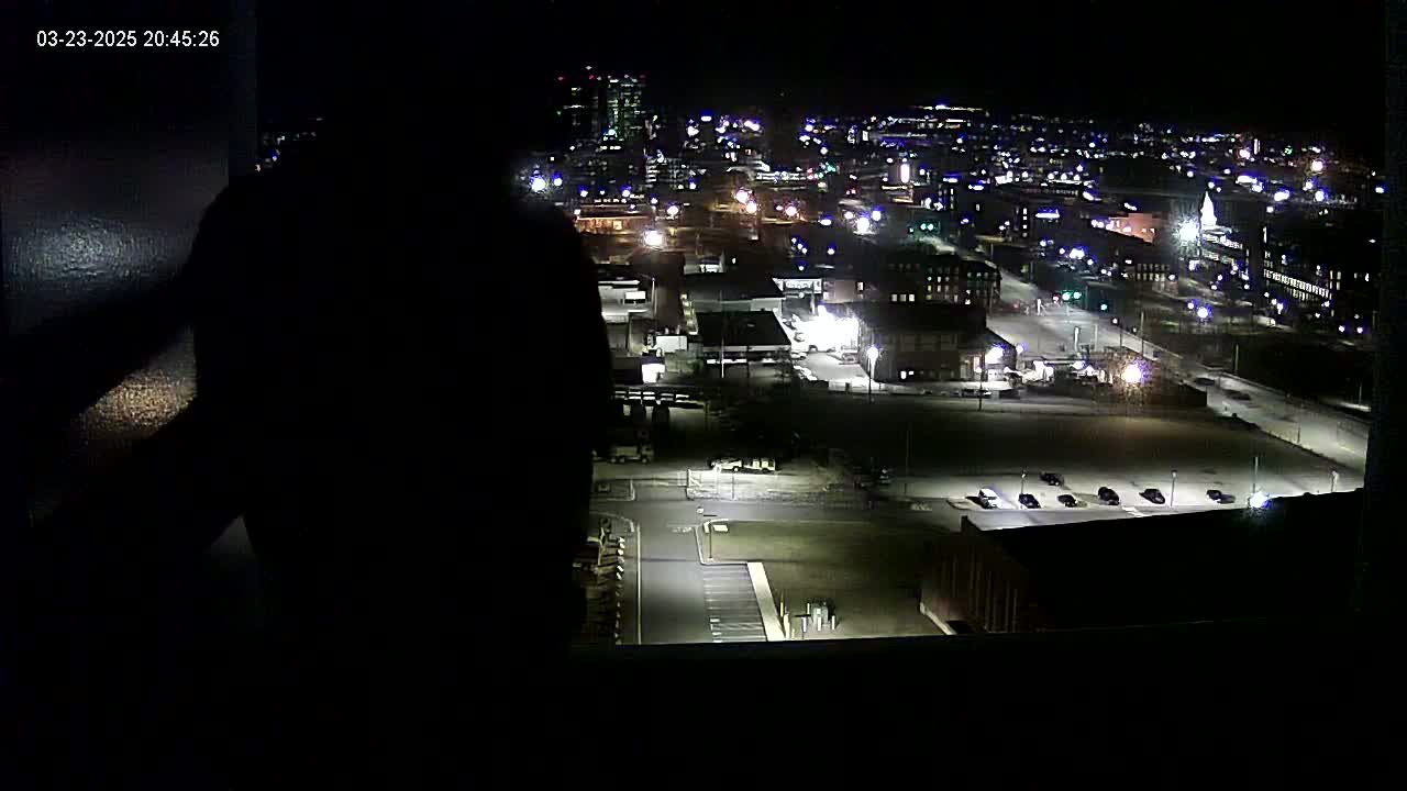 A nighttime view from a window shows a city illuminated by streetlights and building lights, with a dark figure silhouetted in the foreground.