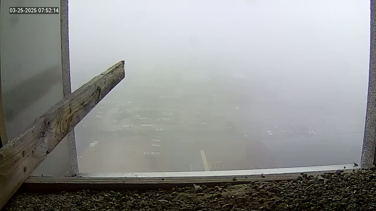 A view through a window shows a foggy landscape with a piece of wood leaning against the window frame.