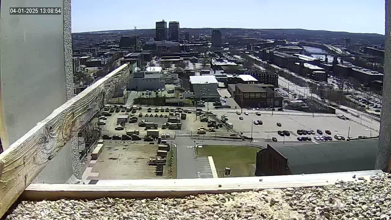 A high-angle, outdoor view on a sunny day shows a city landscape with buildings, parking lots full of vehicles, and a large expanse of paved areas, all seen from an elevated position near a building's edge.