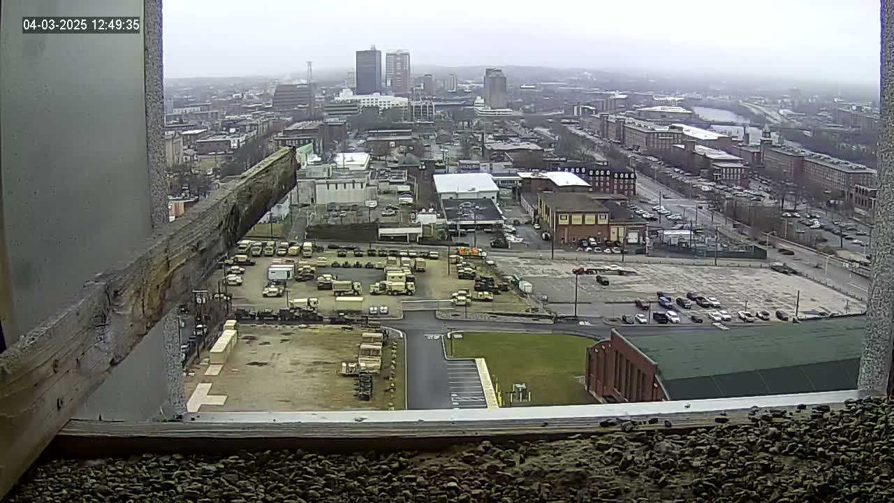 A high-angle, long shot on an overcast day shows a city with a large parking lot full of military vehicles and several buildings, viewed from a window.