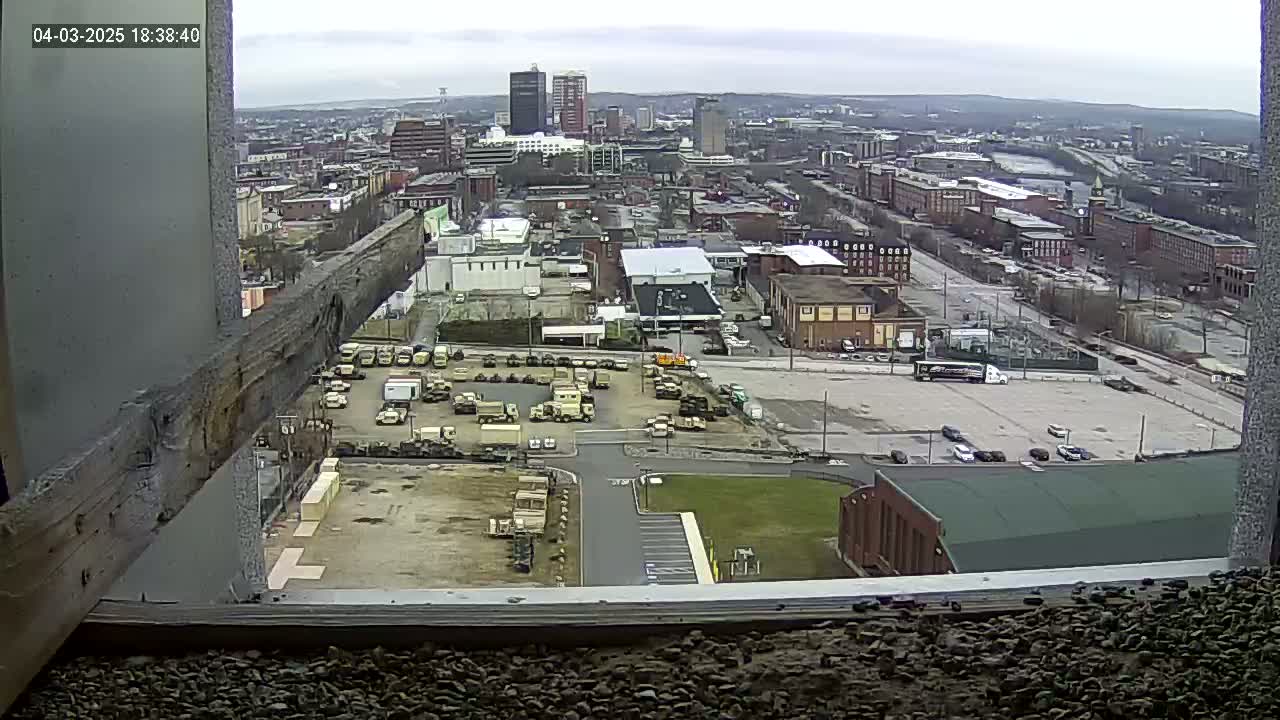 A high-angle, long shot on an overcast day shows a city with numerous buildings and parked military vehicles, viewed from a window.