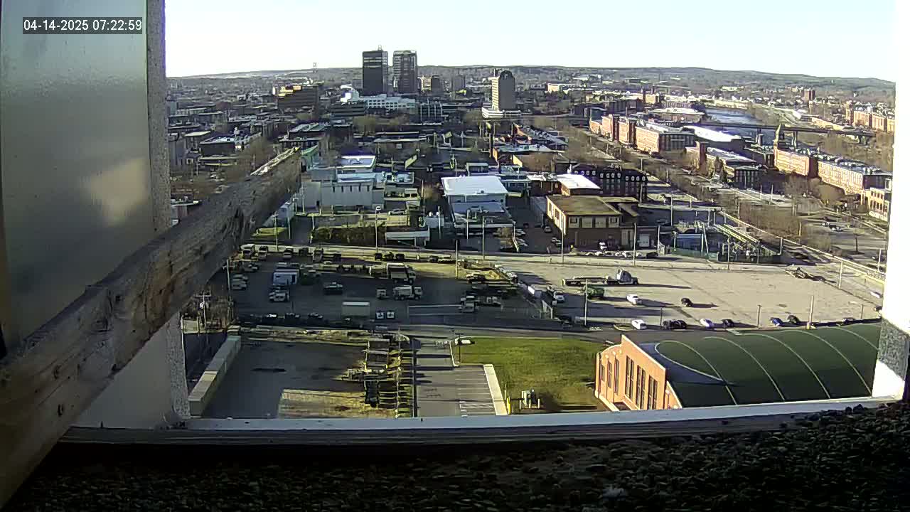 A high-angle, long shot of a city on a sunny day shows several buildings, parking lots, and a large field with a building in the foreground, all viewed from a window.