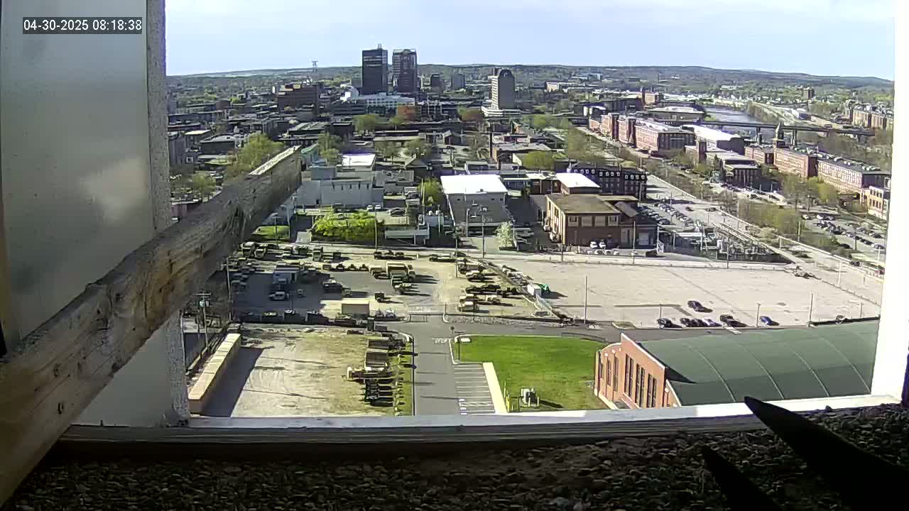 A high-angle, long shot on a sunny day shows a city with several buildings, parking lots, and a river in the distance, viewed from inside a building through a window.
