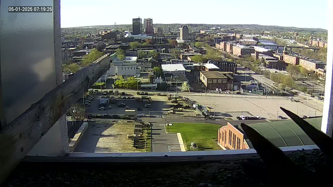 A high-angle, long shot of a city under a clear, sunny sky, showing a large parking lot and numerous buildings, some of which appear to be industrial.
